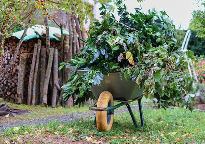 Autumn green: care and beauty of your garden