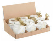 12x Kim C-Vt Pinecone Candle in Dispenser