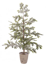 Snowy Iceberg Pine Tree in Vase - H120