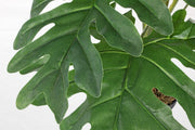 Knurled philodendron plant 90h cm