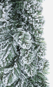 Corona Innsbruck Snow D75