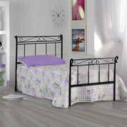 Single iron bed with footboard Black LEONARDO 95x218x h118 cm