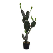 Cactus plant with black pot 45 x 60 x h 119 cm