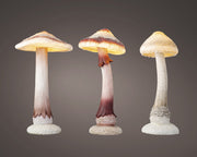 Fungo Pls Assortite A Batteria - Luce LED Fissa - 3 Colori - Dimensioni 50x55x88cm, 47x53x88cm, 35x35x84cm