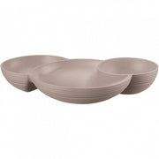 Tierra Guzzini dove gray appetizer