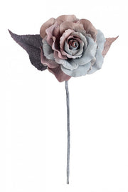 12x Rosa Coline Blue/Brown Picks