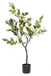 Lemon plant with pot 198 leaves height 120 cm