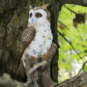 Verdelook Owl Garden Statue