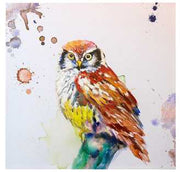 Quadro gufo yc-1943 cm. 80x80