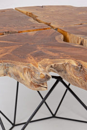 Adanya vintage metal and wood coffee table