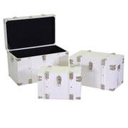 Wooden trunk 1-3 white rectangular