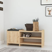 Sunno Shoe Cabinet with Rover Door