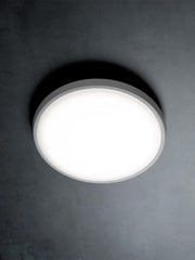 Aluminum Cast Ceiling Light, Opal Thermoplastic Diffuser, 28W, 3700 Lumens, Warm Light, IP65 Graphite