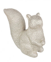 6x Carol Champagne Squirrel