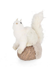6x White Lesley Squirrel C