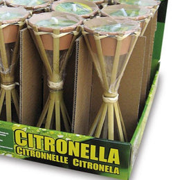 HIGH TORCHES ON EXPOSURE. FROM PCS. 16 H.