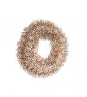 8x Angelique Champagne Corona D28