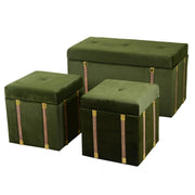 Green velvet trunk 1-2 cm80x40h44