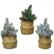 Assorted mini trees H 24 cm