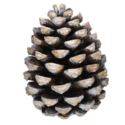Brown resin pine cone cm27,5x27,5h35,5