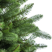 Green ararat tree cmø157h240 with 2582 branches