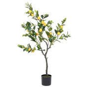Lemon plant with pot 198 leaves height 120 cm