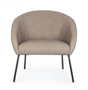 Taupe velvet armchair in design style