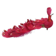 Red feather peacock with clip cm30x5h11