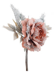 12x Peonia Amalia Coral Pick