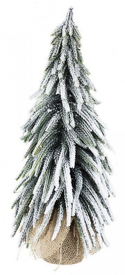 6x Snow-covered Pine Cimone H43