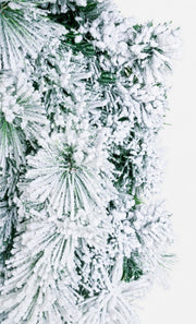 4x Innevato D80 Corona Cermis