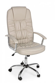 Dehli dove gray eco-leather office armchair