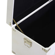 Wooden trunk 1-3 white rectangular