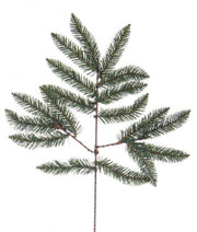 12x Green Oregon Pick H60