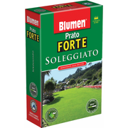 1kg Sunny Lawn Seeds.