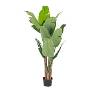 2x Banana plant home decoration with vase 16 leaves 170h cm