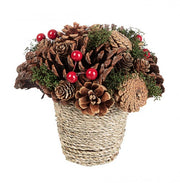 8x Sequoia C Composition