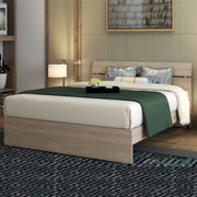 Single bed and a half for room color Elm cm 200x131xH 98