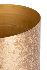 P.Vaso Varanasi Stand To Gold H42