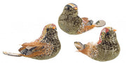 Set of 3 Clip Dafne Bird Multi Green