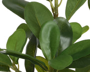 Plastic plant with pot 25x25x35h cm