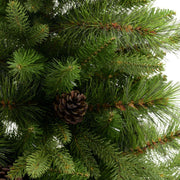 Green sinai tree with pine cones cmø137h240 with 2982 branches