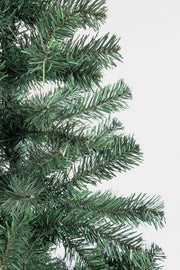 Cerano Tree H165-287 Branches