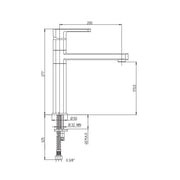 Chrome Kitchen Mixer with Fountain Spout - 27.4x20x5 cm