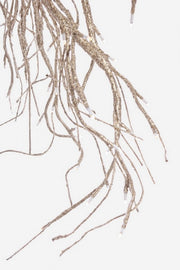 2x Beam 180LED Cha Classic C-Gl IP20