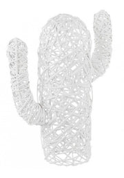 4x Cactus Mexico Bianco H55