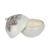 4x Fascinate C-Vt Bia Candles in D125 Box