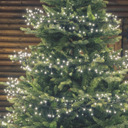 Warm white led chain 1100 MiniLED 11.5m