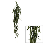 Hanging cactus branch cm10,2x10,2h76,2