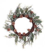 2x Green Corona Fernie C